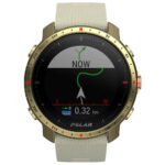 Polar Grit X pro (gold)
