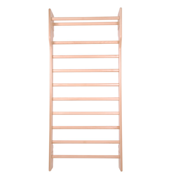 ΠΟΛΥΖΥΓΟ ΤΟΙΧΟΥ inSPORTline 220 x 90 cm