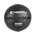 WALL BALL inSPORTline 14KG