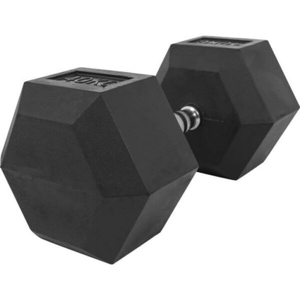 40kg Hex Dumbbell inSPORTline Hexsteel