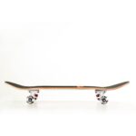 Skateboard 31'' Elegant Fish