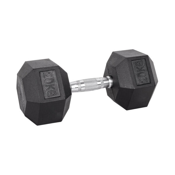 20kg Hex Dumbbell inSPORTline Hexsteel