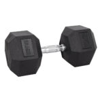 32,5kg Hex Dumbbell inSPORTline Hexsteel