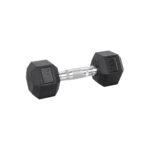 6kg Hex Dumbbell inSPORTline Hexsteel