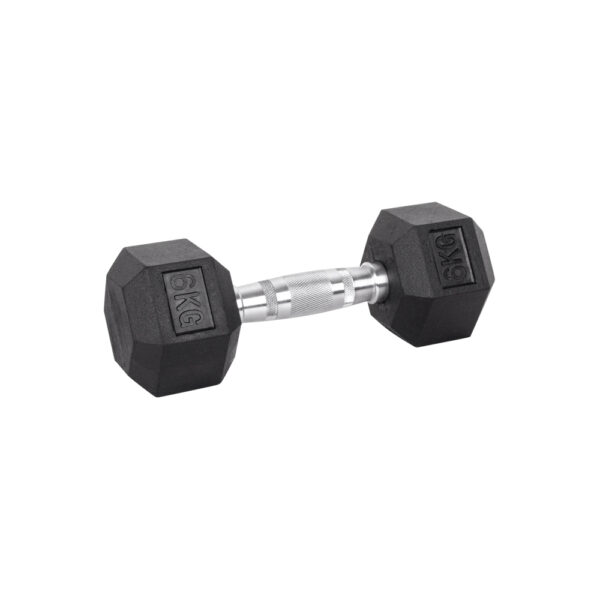 6kg Hex Dumbbell inSPORTline Hexsteel