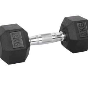 8kg Hex Dumbbell inSPORTline Hexsteel