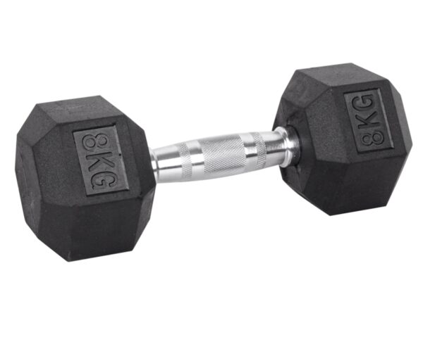 8kg Hex Dumbbell inSPORTline Hexsteel