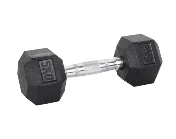 5kg Hex Dumbbell inSPORTline Hexsteel