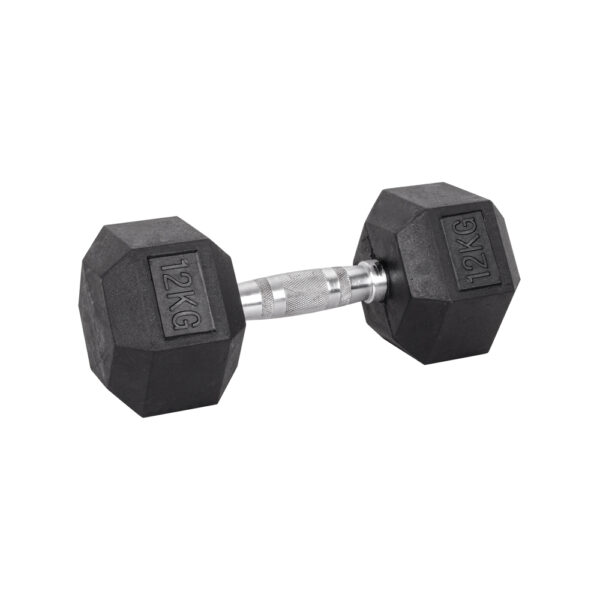 12kg Hex Dumbbell inSPORTline Hexsteel