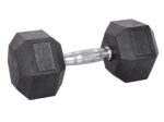 14kg Hex Dumbbell inSPORTline Hexsteel