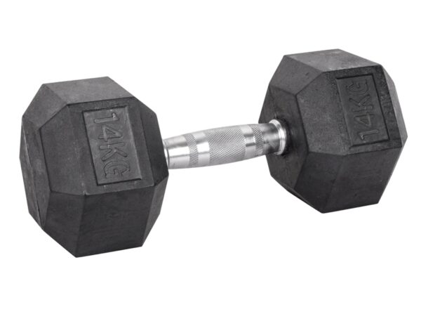 14kg Hex Dumbbell inSPORTline Hexsteel