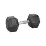 16kg Hex Dumbbell inSPORTline Hexsteel