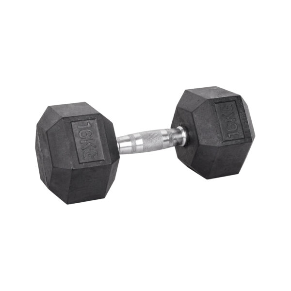 16kg Hex Dumbbell inSPORTline Hexsteel