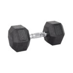 18kg Hex Dumbbell inSPORTline Hexsteel