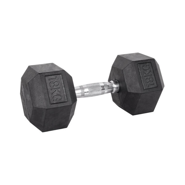 18kg Hex Dumbbell inSPORTline Hexsteel