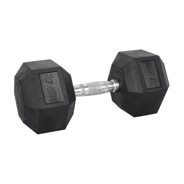 27,5kg Hex Dumbbell inSPORTline Hexsteel