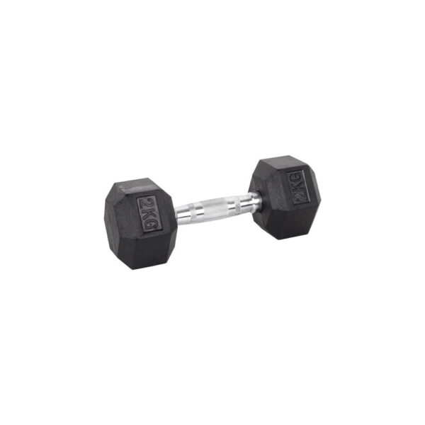 2kg Hex Dumbbell inSPORTline Hexsteel